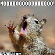 noooo